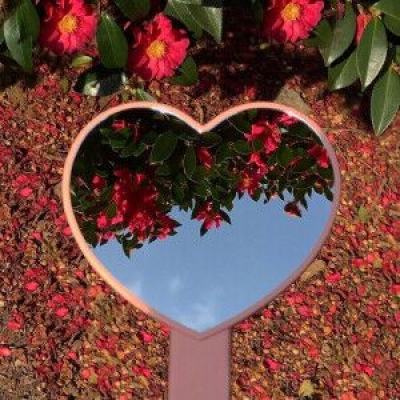 IM体育官方网站入口