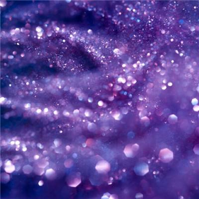 威尼斯软件·下载