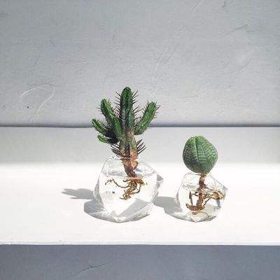 澳门人威尼斯3966下载手机版