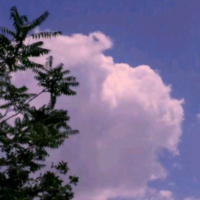 免费的行情网站app